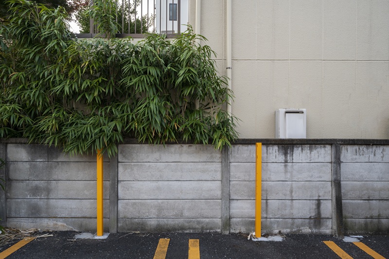 neighbours and the law 